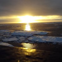 22 - La Daana Kanhai